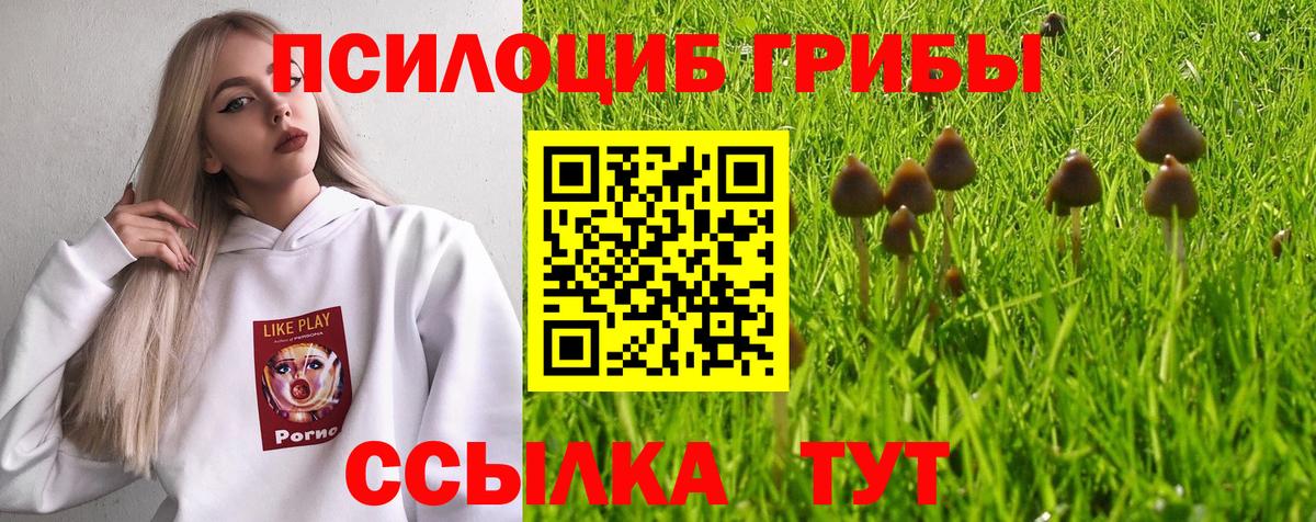 Галлюциногенные грибы Cubensis  Вход с VPN  Пыть-Ях 
